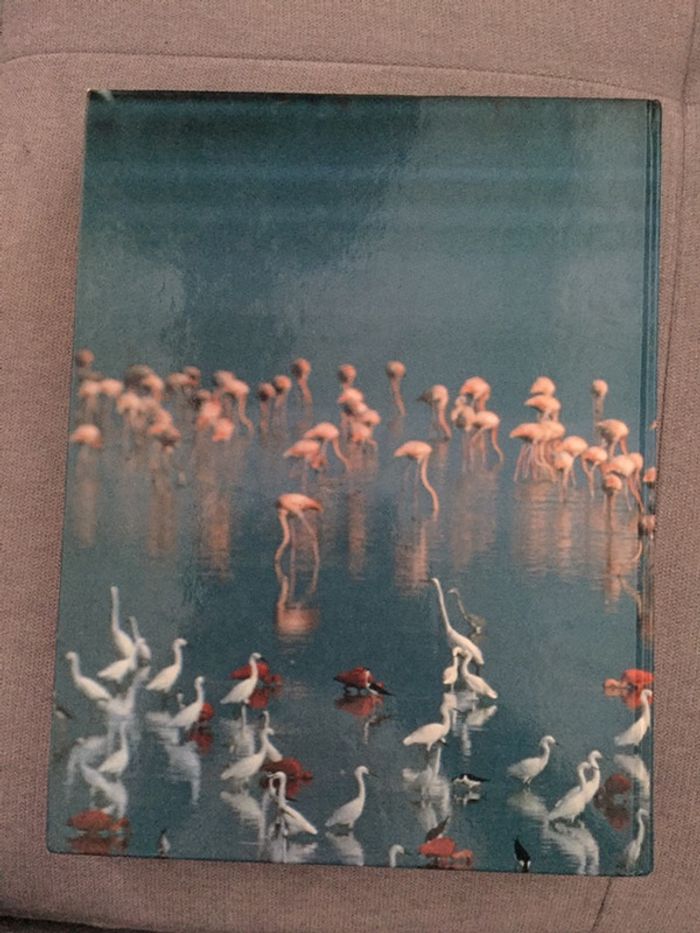 AA11-Livre: ABC de la nature NEUF - photo numéro 2
