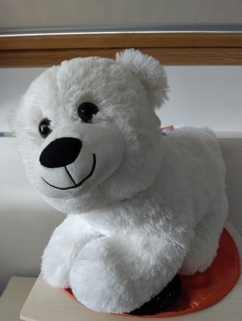 Ourson blanc
