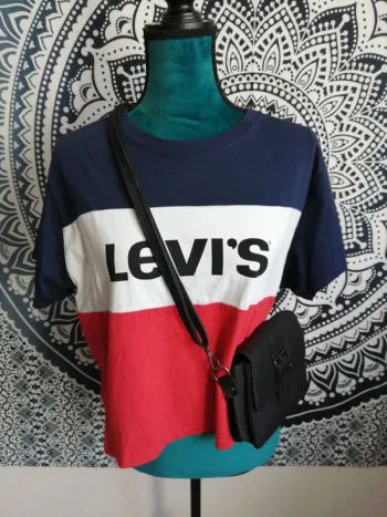 Tee-shirt tricolore bleu blanc rouge avec inscription Levi's / Levi's / (S)