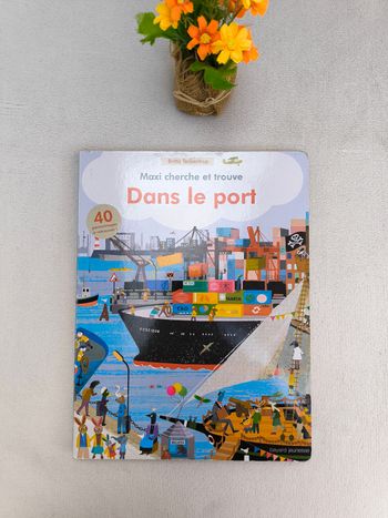 Livre Cherche et trouve dans le port Bayard