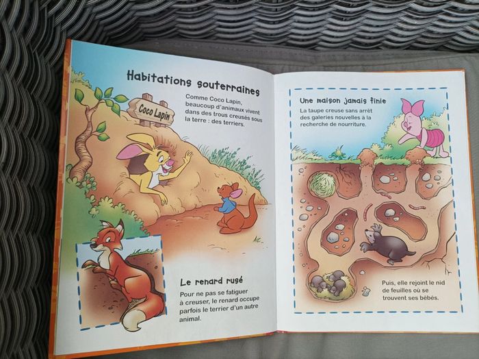 Livre "à la découverte des maisons des animaux" - photo numéro 4