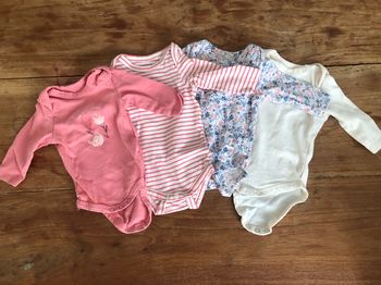 Lot 4 bodies