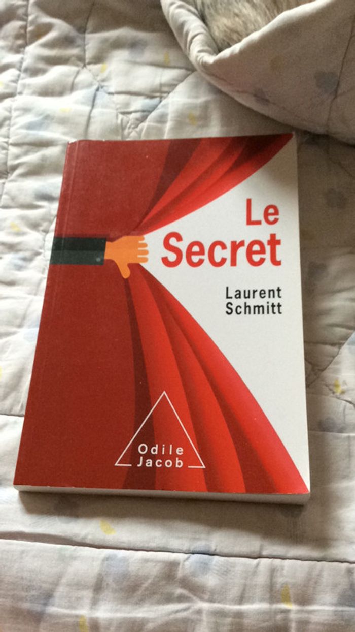 #le secret par Laurent Schmitt - photo numéro 2