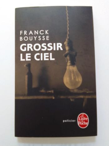 Franck Bouysse - Grossir le ciel