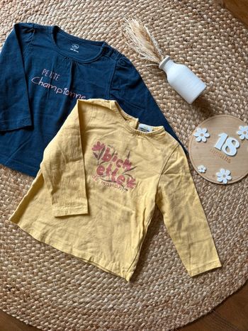 Hauts manches longues fille - taille 18 mois