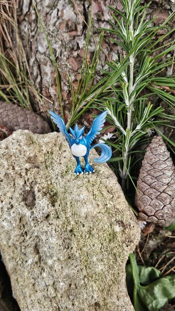 Super figurine Pokemon Nintendo tomy C.G.T.S.J Artikodin 