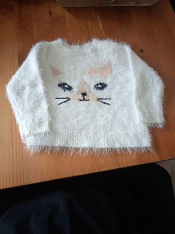 Pull pilou
